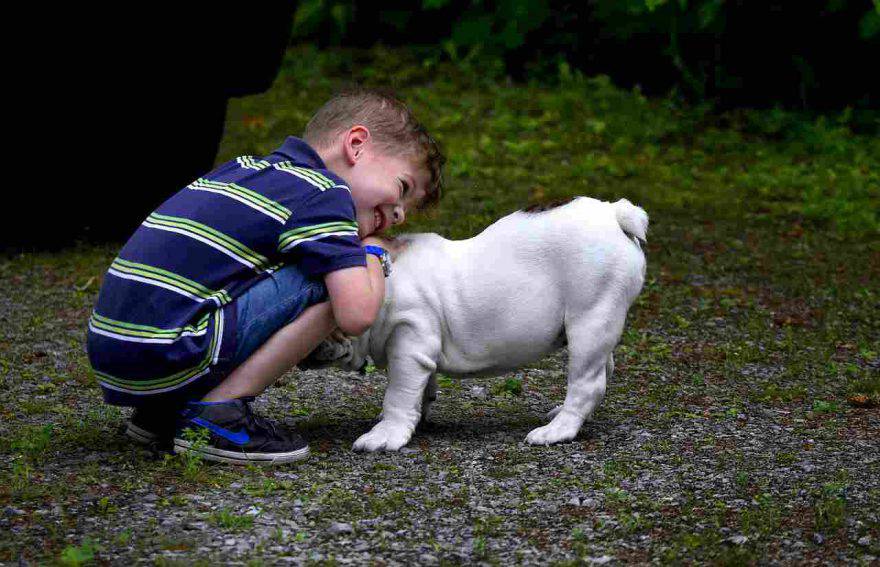 Cane e bambino