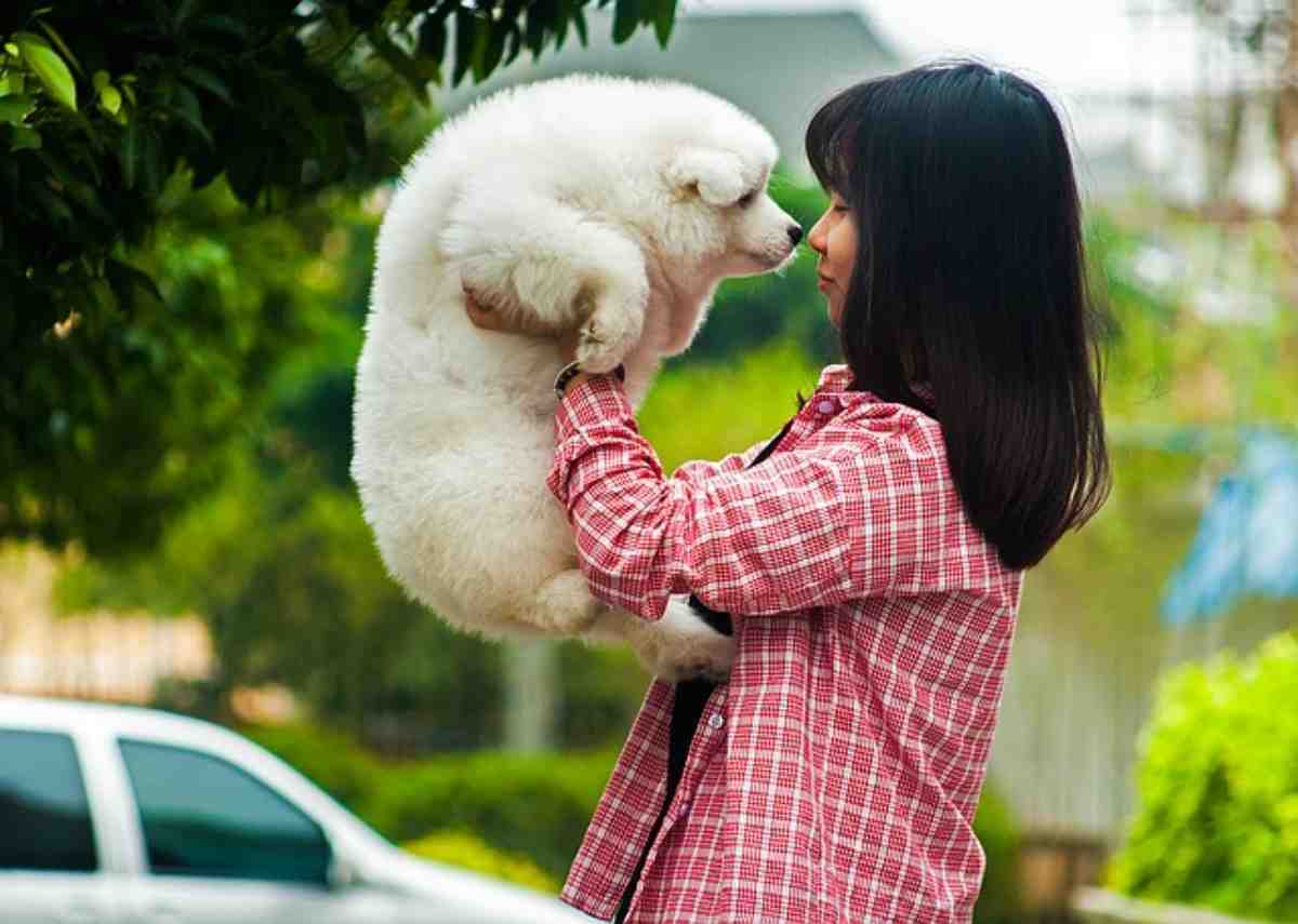 Oroscopo del cane