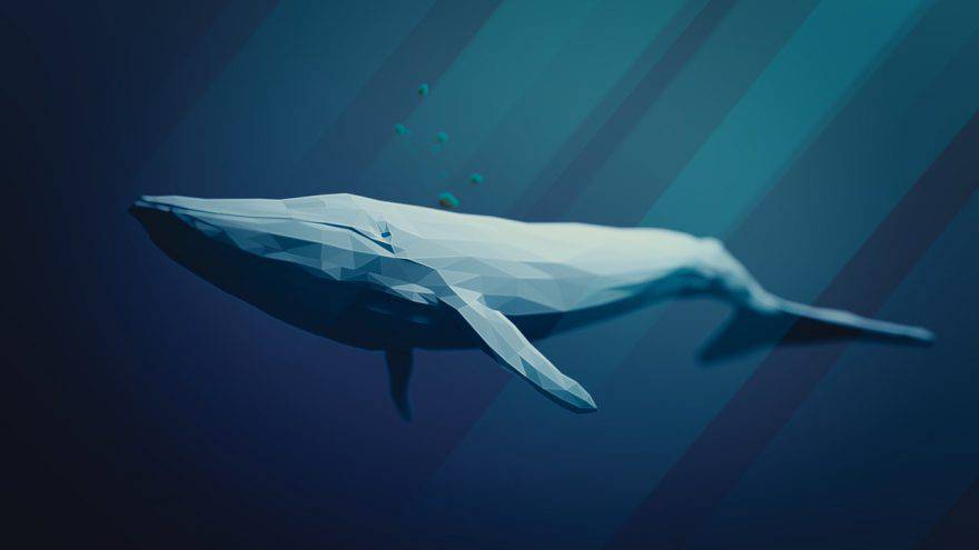 Animali con la B