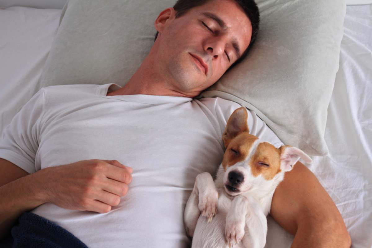 cane dorme