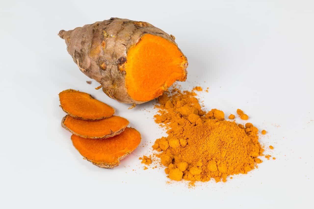 proprietà curcuma cane