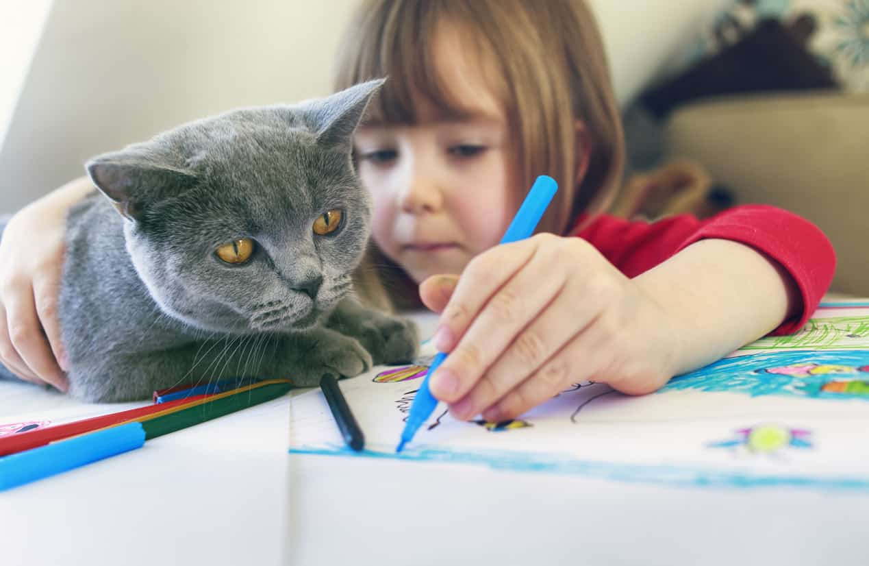 Gatto e bambini in famiglia