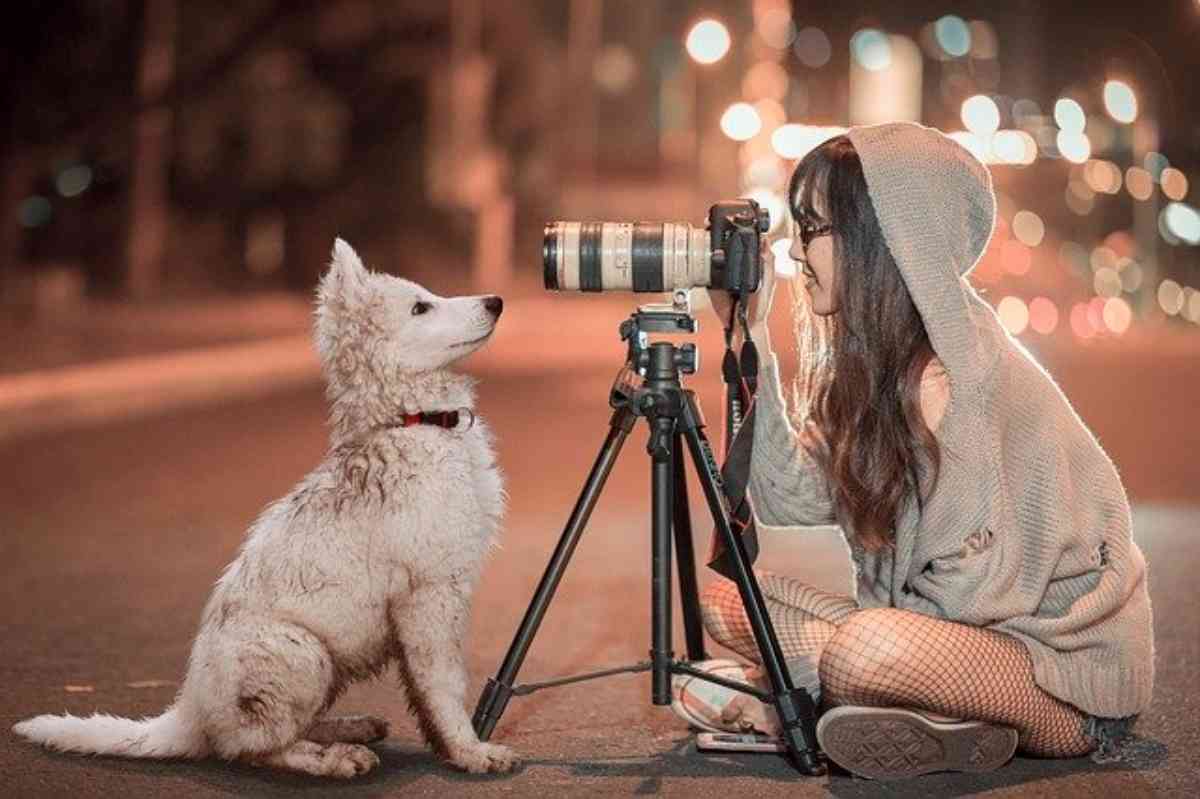 Come fotografare un cane