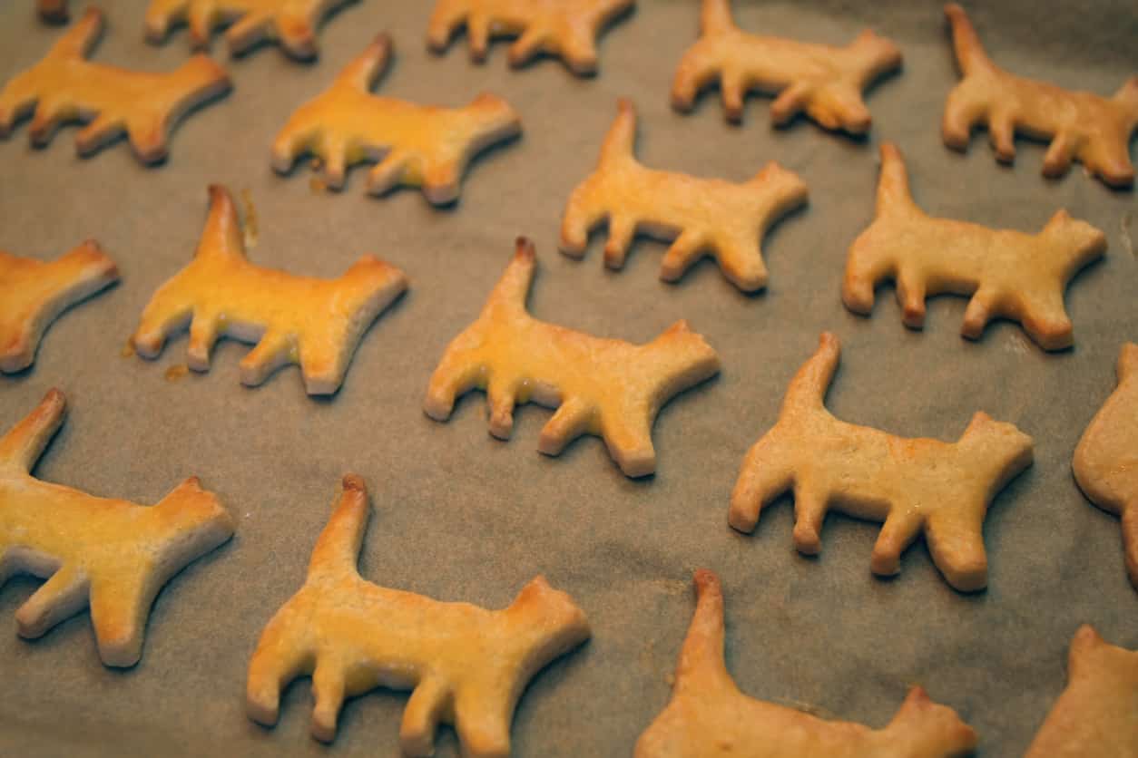 ricetta biscotti gatto capodanno