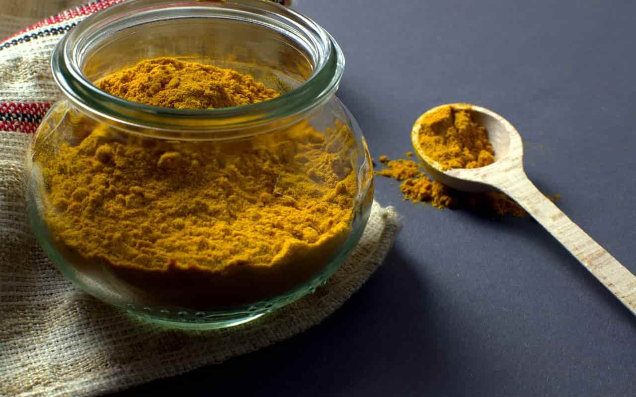 spezia curcuma al cane
