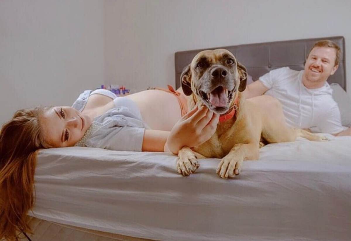 Cane geloso del rapporto di coppia
