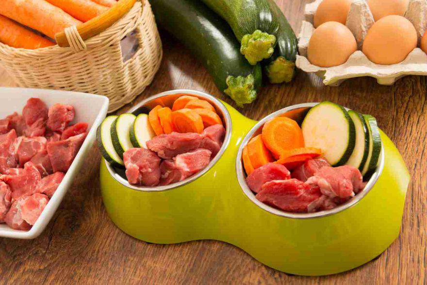 Alimentazione olistica per cani