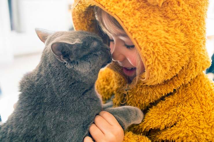 adottare un gatto adulto