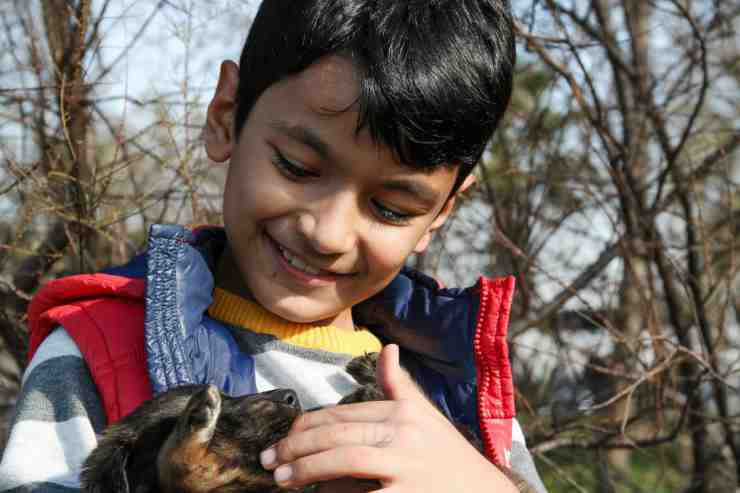 Bambino e cane insieme (Foto Pixabay)