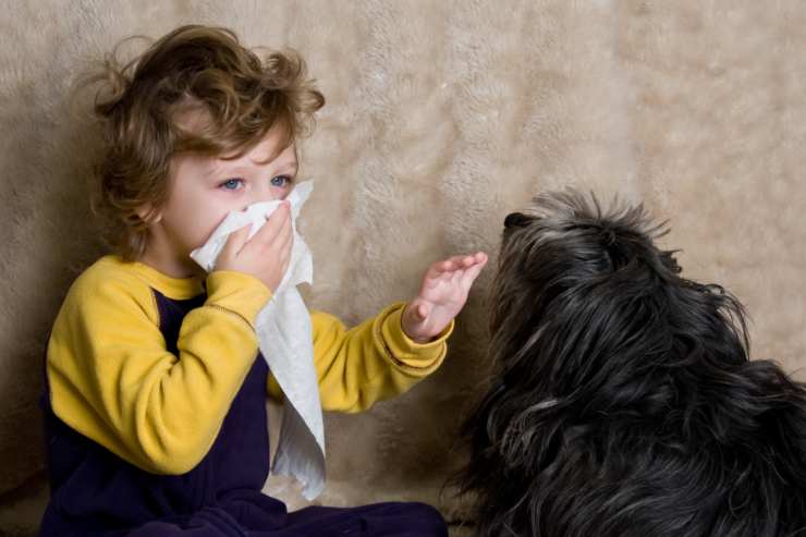 allergia ai cani maschi