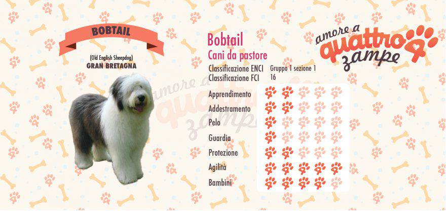 bobtail scheda razza