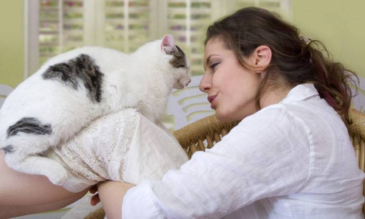 Vivere con un gatto