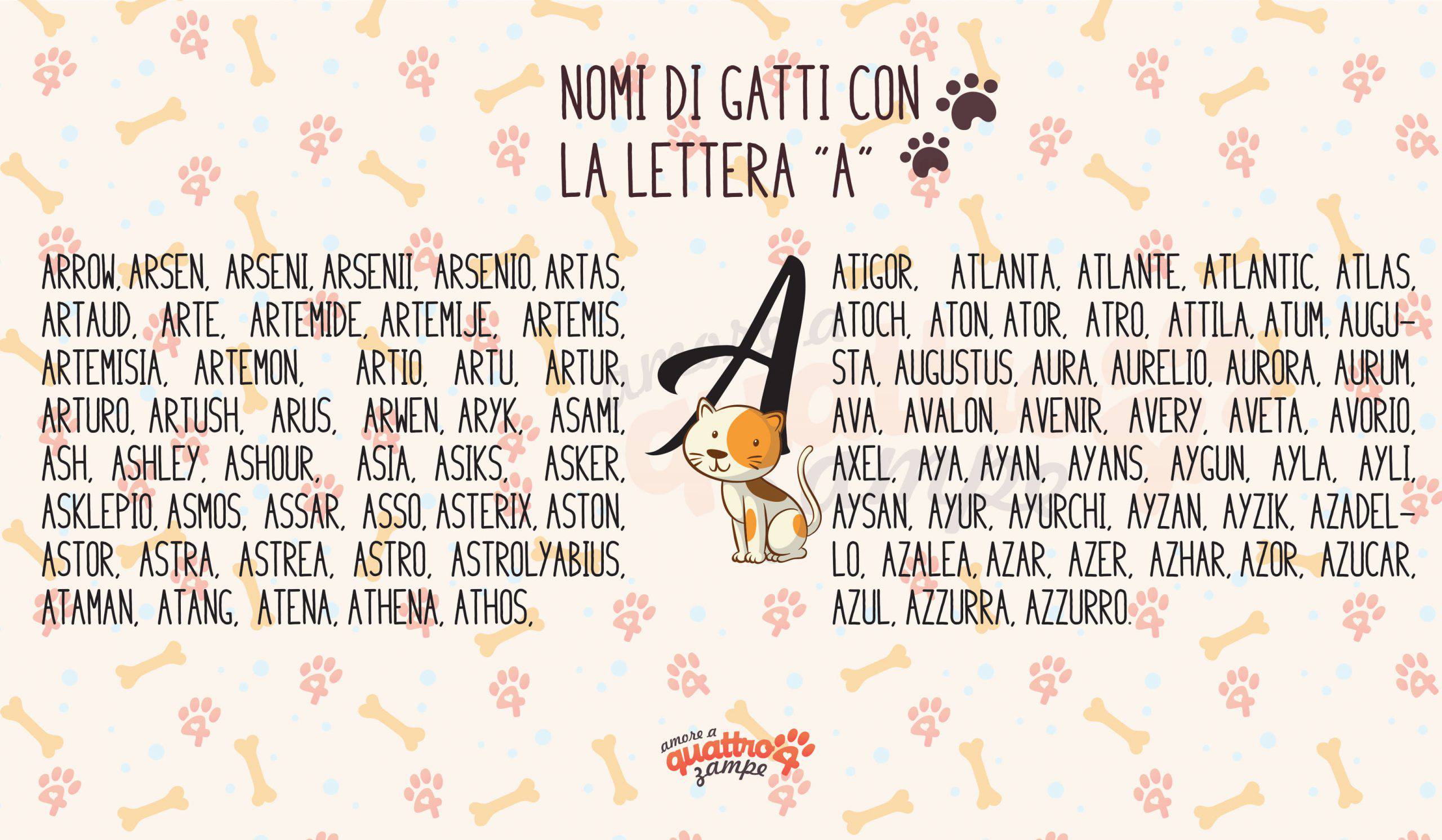 Infografica