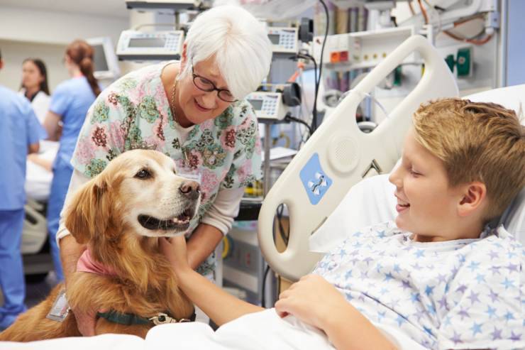 Cani in ospedale