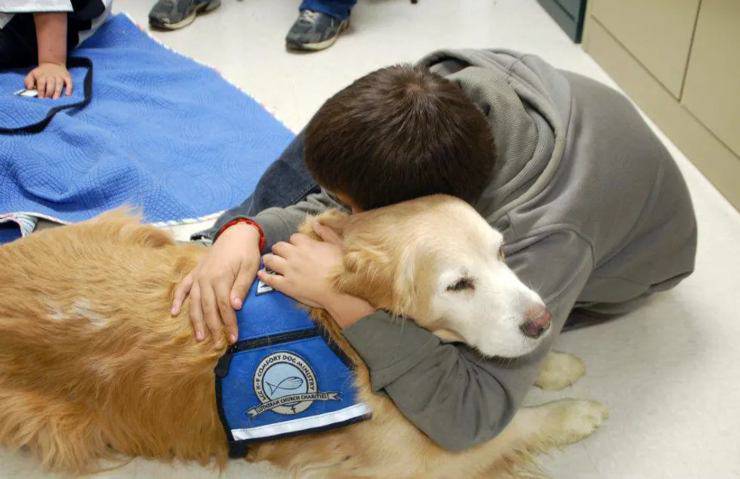 Cani in ospedale