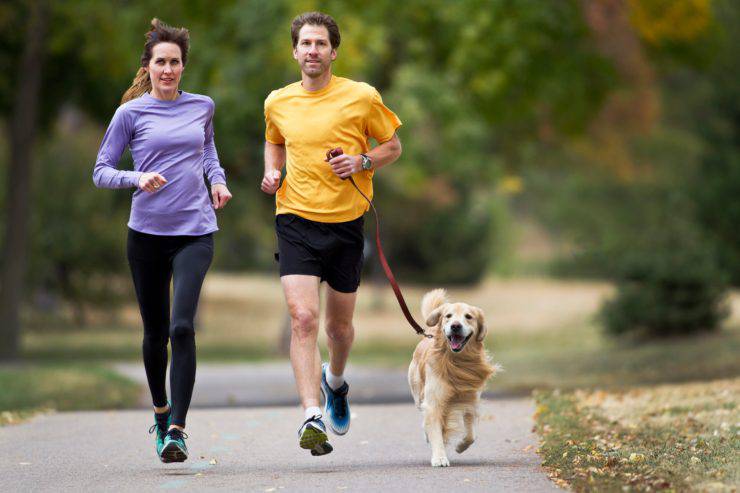 dimagrire con il cane