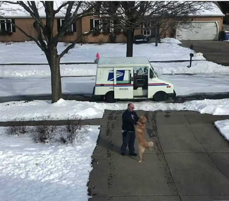 Il postino e il Golden Retriever Facebook