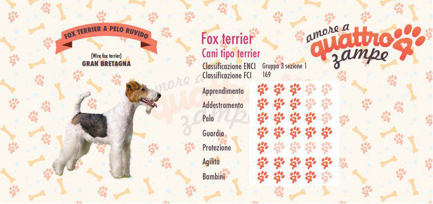 Fox terrier scheda razza
