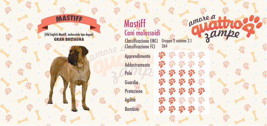 Mastiff scheda razza