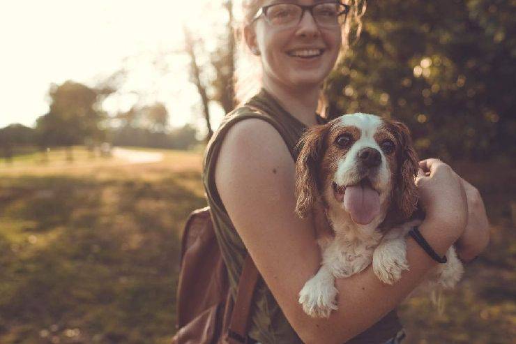 Routine giornaliera del cane