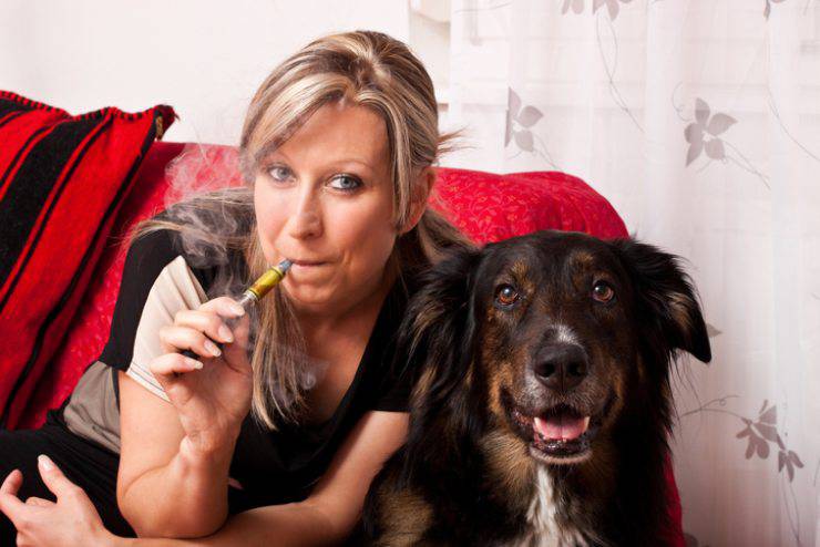 svapare in presenza di animali domestici