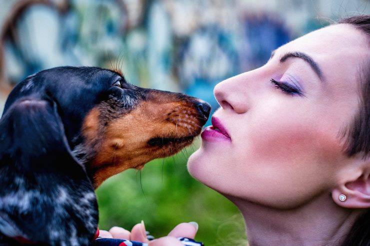profumo preferito cane