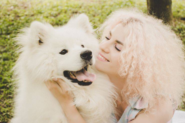trattamenti di bellezza cane