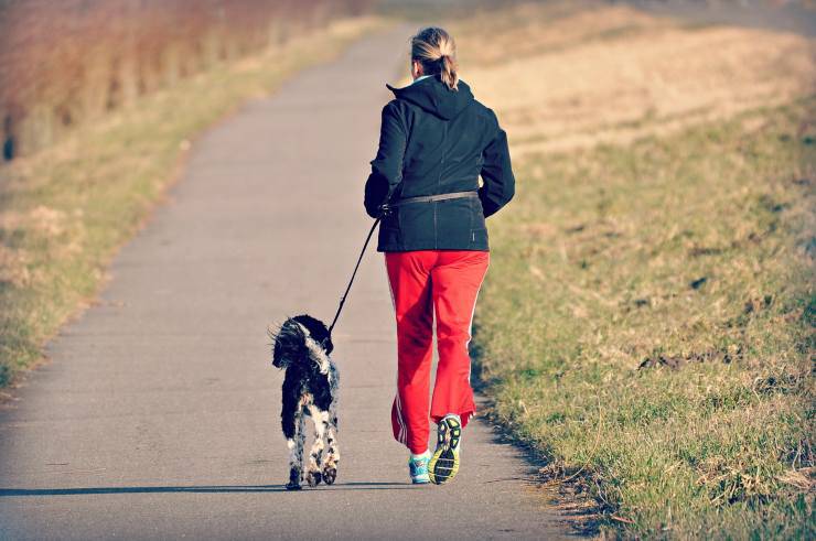 dimagrire con il cane