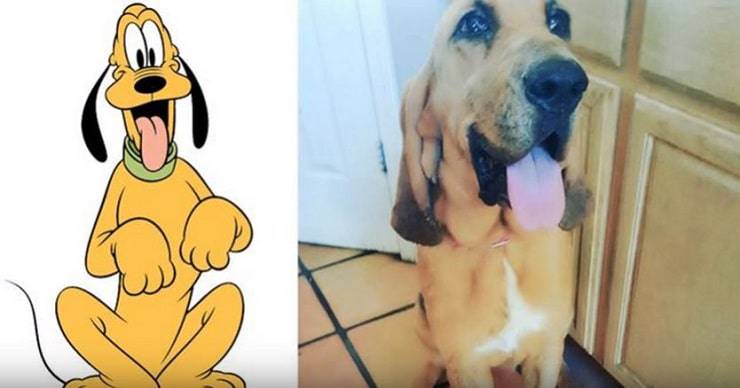 pluto