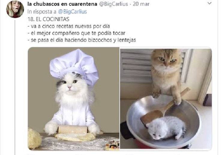 foto 18