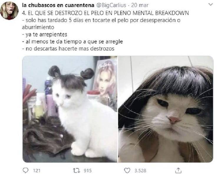 Che tipo sei in quarantena