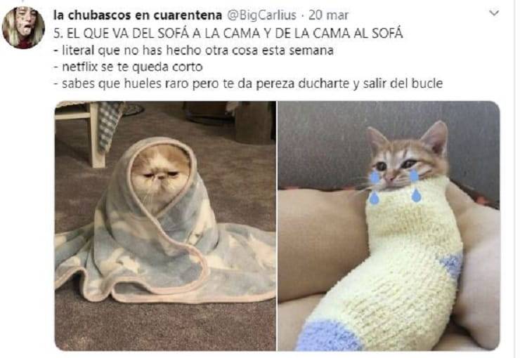 Che tipo sei in quarantena
