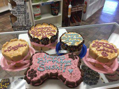 dolci torte cani