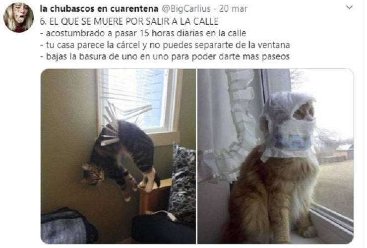 Che tipo sei in quarantena