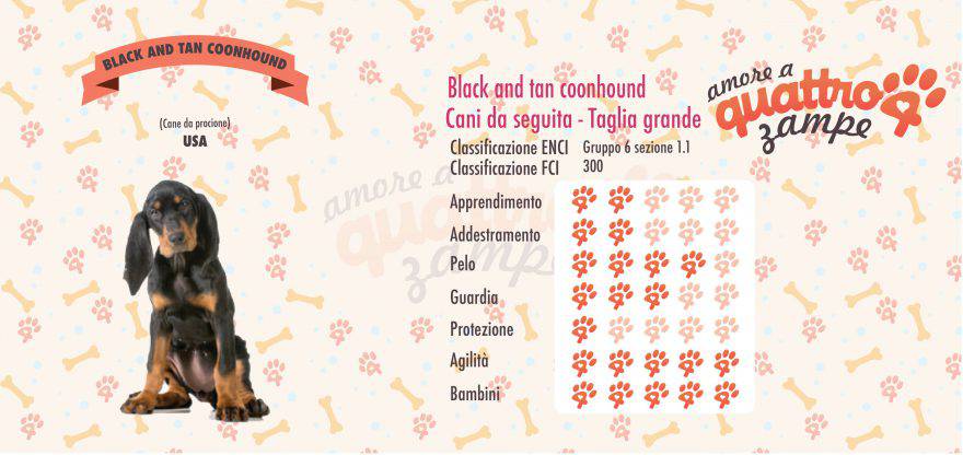 Black and tan coonhound scheda razza