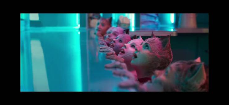 Cats al cinema