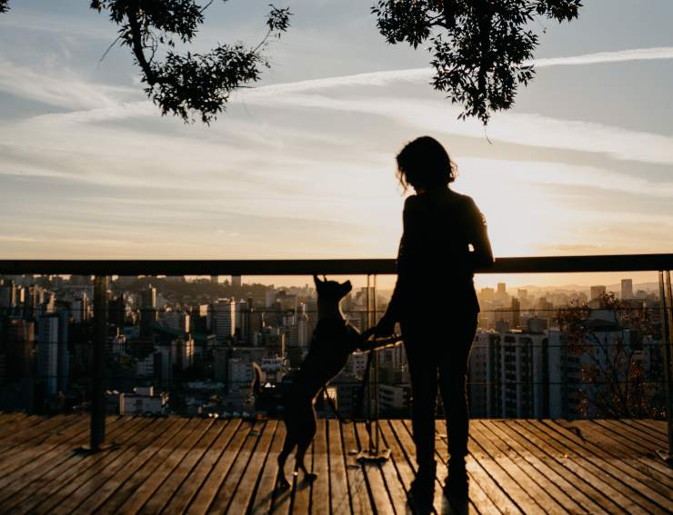 Come allenarsi con il cane