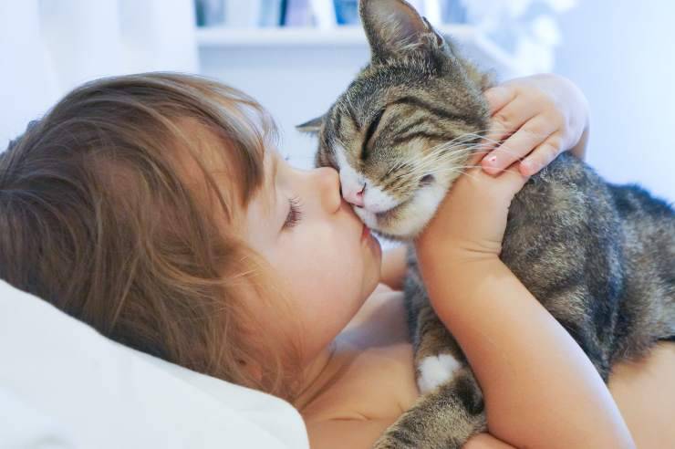 cosa puo insegnare un gatto ad un bambino