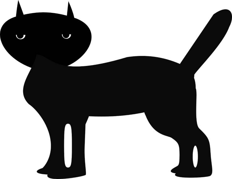 Gatto