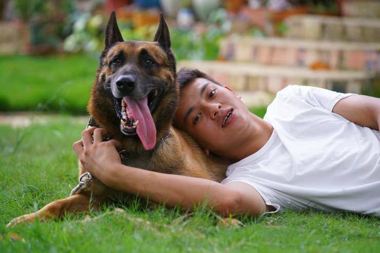 Il cane e il bambino (Foto Pixabay)