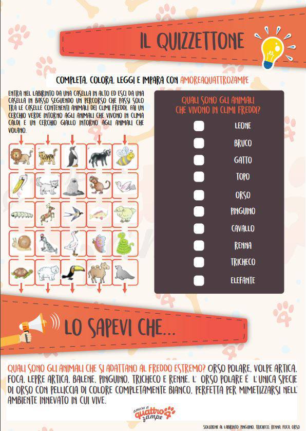schede animali per bambini