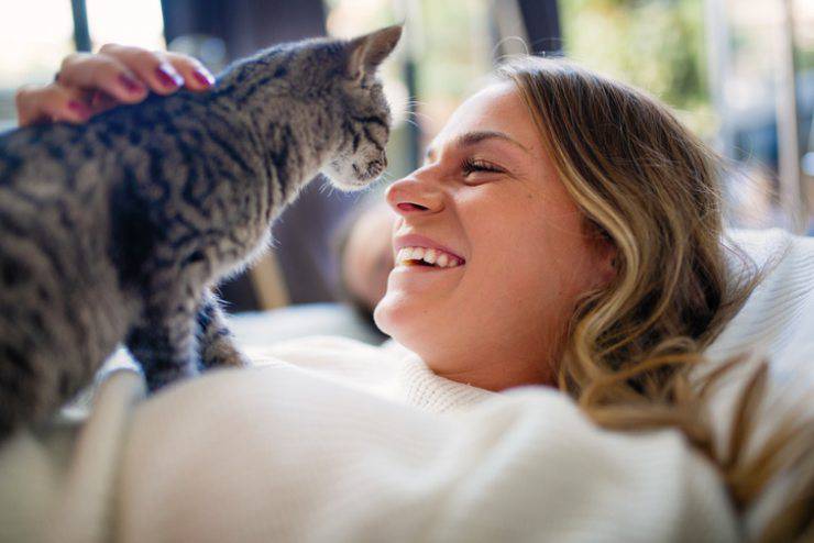 felino e padrone