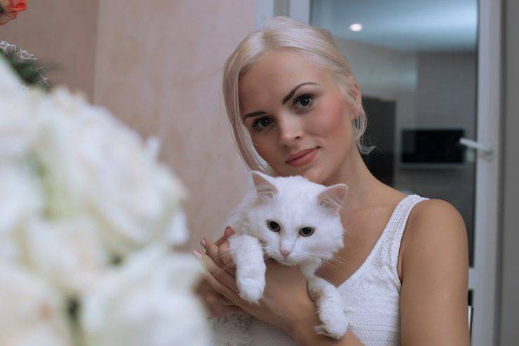 gatto ti vede come mamma gatta
