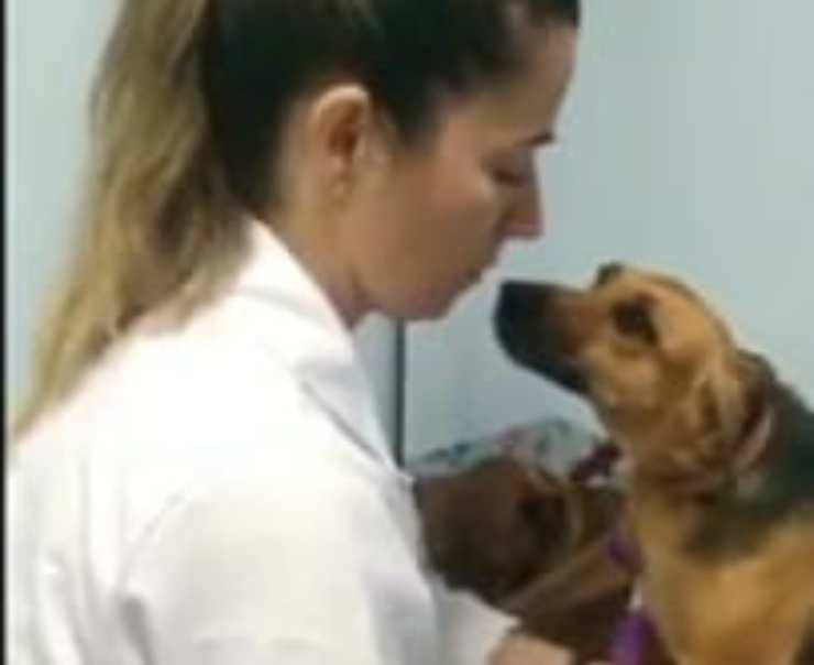 Amore a prima vista (Foto video)