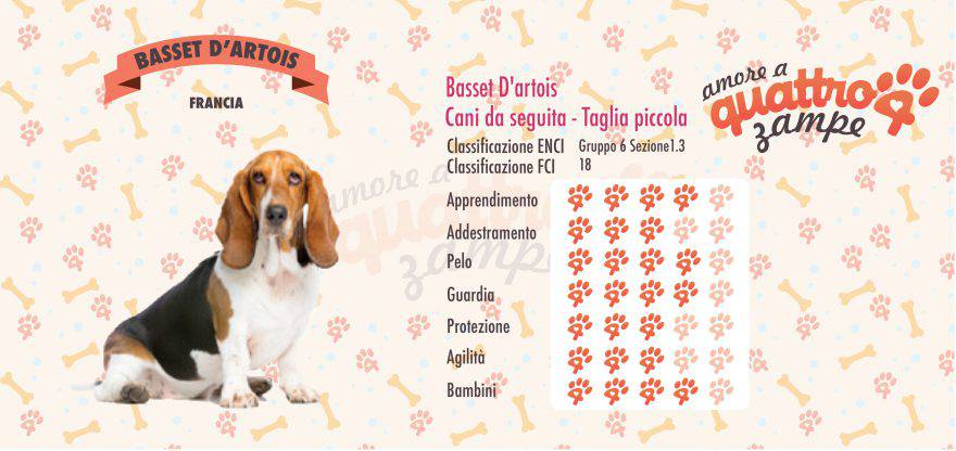 Basset D'artois scheda razza