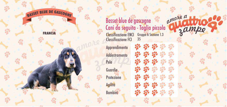 Basset blue de gascogne scheda razza