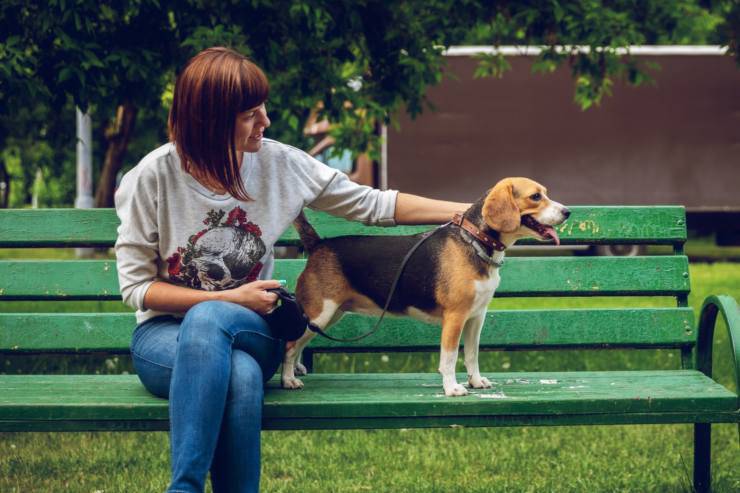 cane guinzaglio retrattile