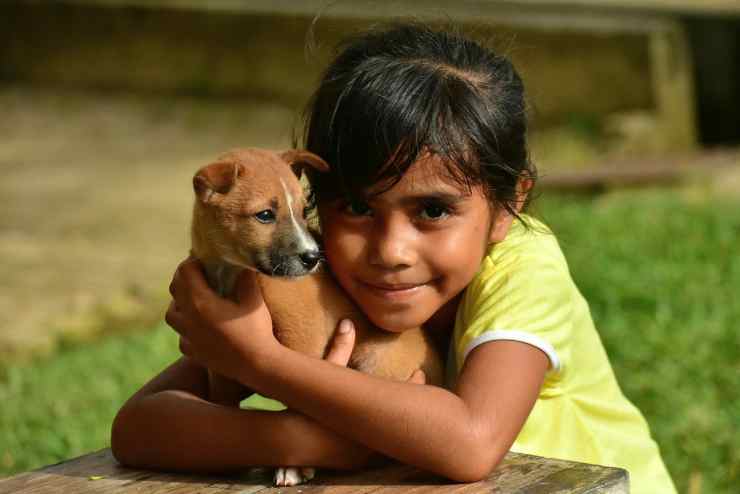 Il cucciolo e la bambina (Foto Pixabay)