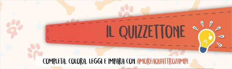 quiz