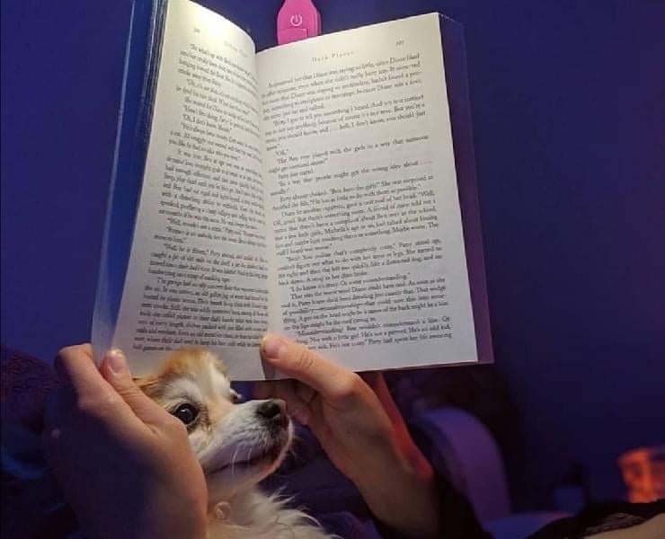 Libri sui cani per pambini